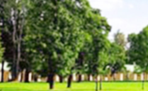 ��԰�����ĺϼ�(15ƪ)