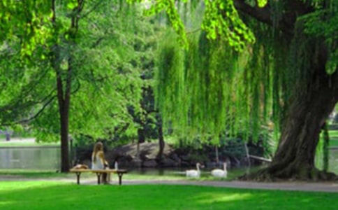 ��ʵ�á��ι�԰����