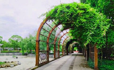 [�Ƽ�]������԰����