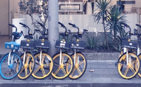 �����еĹ�����������