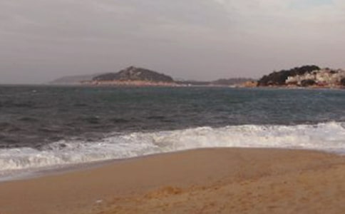 �����Ź���������