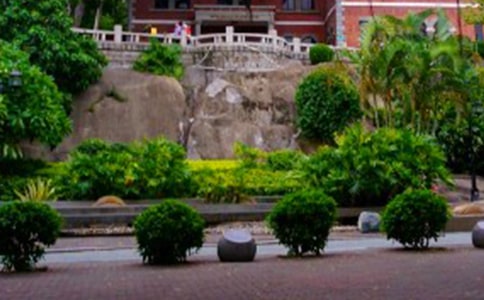 鼓浪屿游记作文