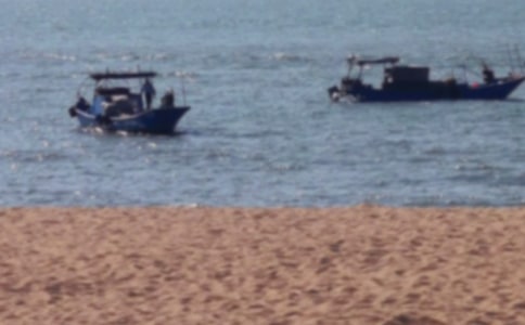 ���ŵĹ���������