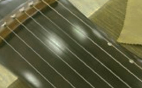 《古琴的文化》阅读答案