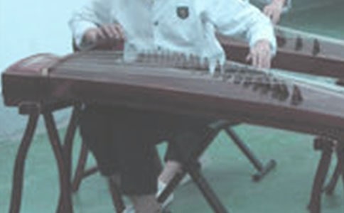 【推荐】学古筝作文五篇