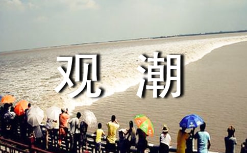 观潮听课心得体会