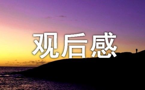 《沂蒙》观后感