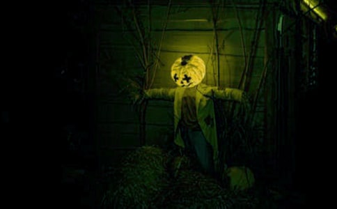 ������������ѡ[7ƪ]