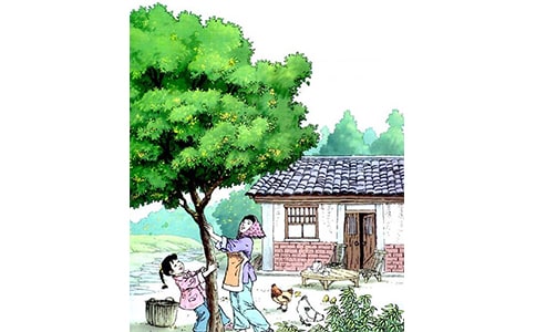 ��������15ƪ����ѡ��