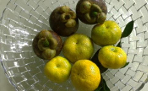 ���������ĵ����