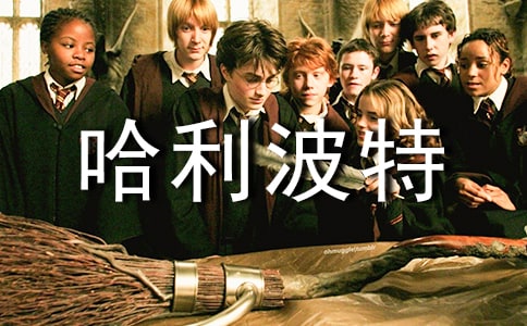 如果我是哈利波特作文2篇