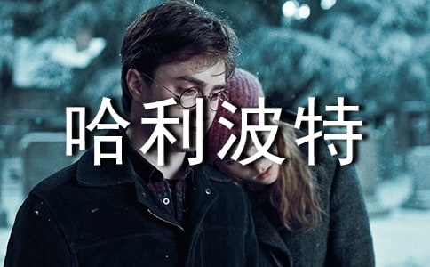 我身边的哈利波特作文