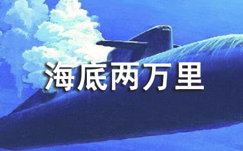 ����ѡ������������������