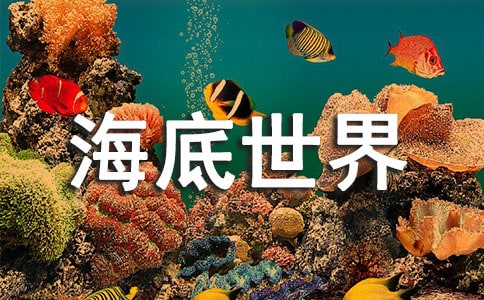 游玩海底世界作文必备3篇