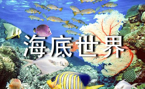 海底世界作文(热门)