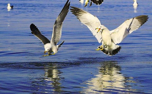 ����ۺ�Ÿ_����