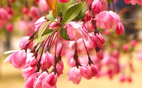 ���ĵ�����[��]