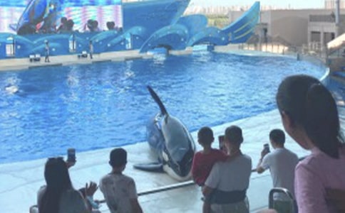 ����ۺ���԰����