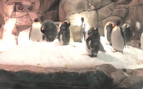 �κ���԰����(15ƪ)