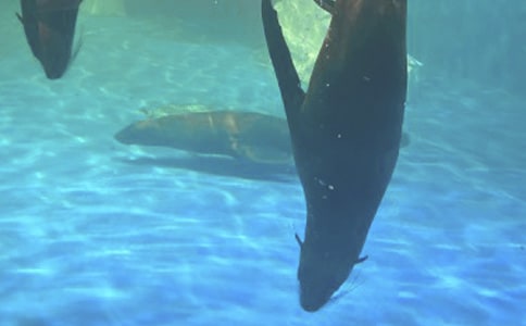 [��]����ۺ���԰����15ƪ