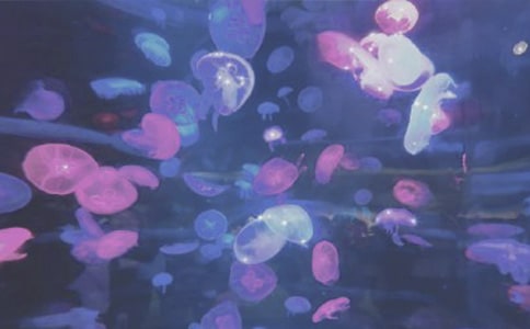 �κ���԰����(��ѡ15ƪ)