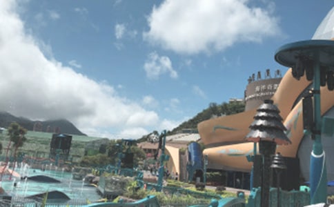 上海海洋公园作文