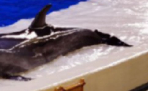 ������������� 