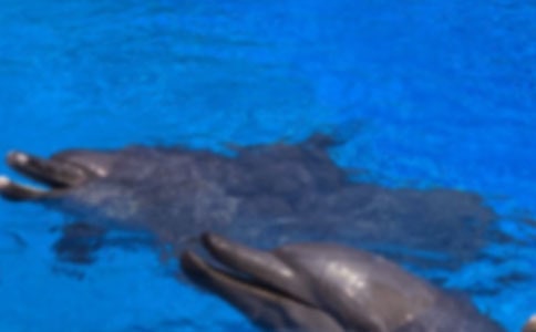 �йغ��������