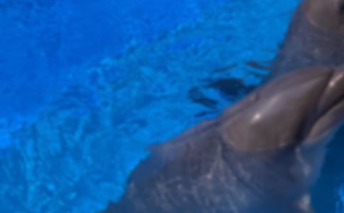 ���Ǻ�������