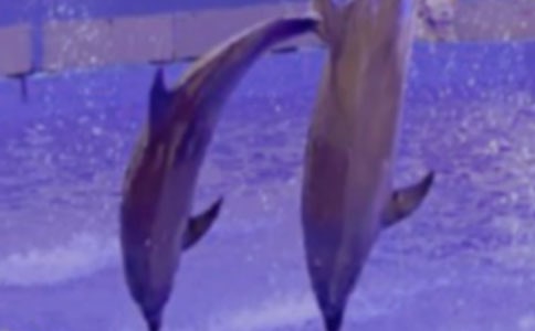 ������������Ĵ�ȫ(13ƪ)