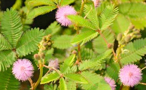 ���ȡ�����ĺ��߲�����