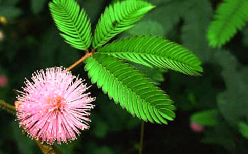 ���߲�����