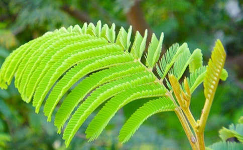 �ҵĺ��߲�����