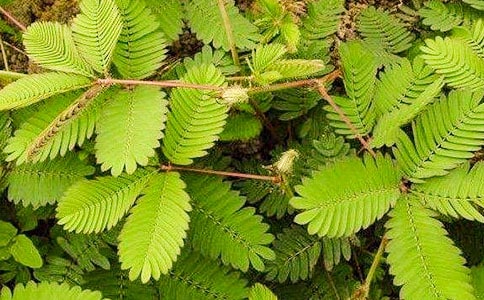 �Ұ����߲�����(��ѡ10ƪ)