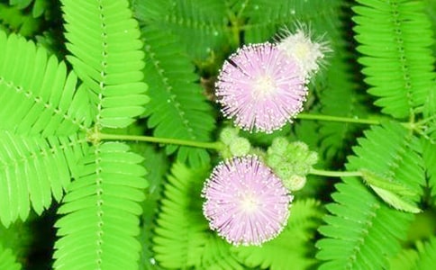 ����һ�꺬�߲�����