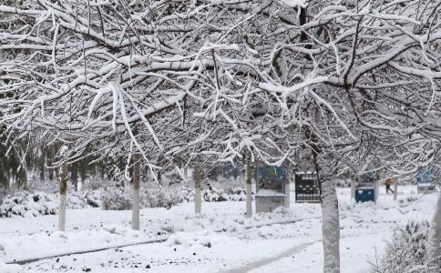  �������ٵľ���7ƪ