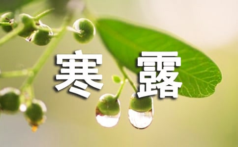 寒露发朋友圈的句子13篇