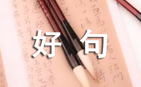 人生感悟的好句子