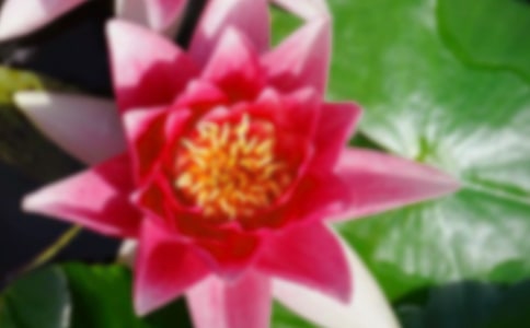 ���ͺɻ�����