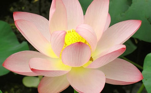 �����ϡ����ںɻ�������15ƪ