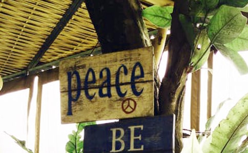 以写和平为主题的作文