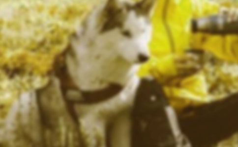 共建和谐家园作文3篇