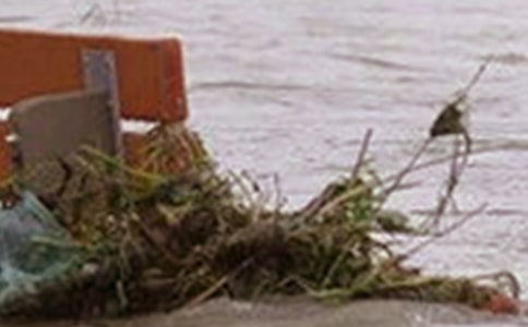 洪水的作文(实用15篇)