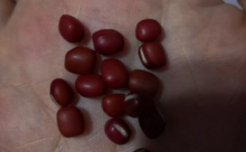 �춹ɼ����