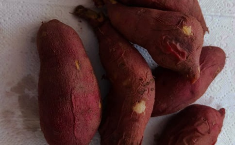 【推荐】挖红薯作文