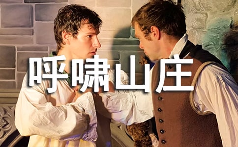 呼啸山庄心得体会