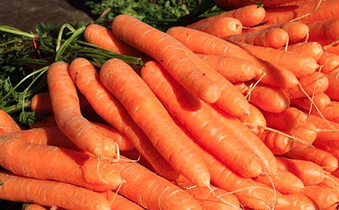 胡萝卜作文(15篇)