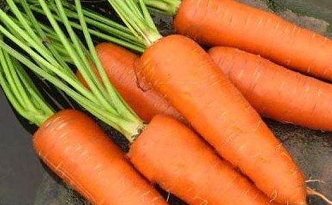 胡萝卜的自述作文7篇