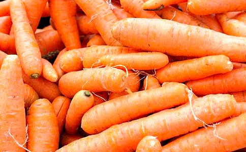 ���ܲ����ļ���15ƪ