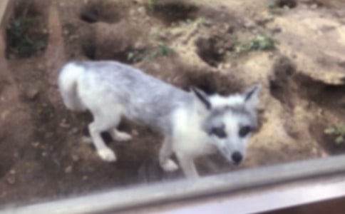 �˲���ĺ���ְֶ����(ͨ��15ƪ)